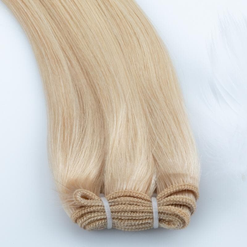 Light Ash Blonde #22 Machine weft Hair Extension